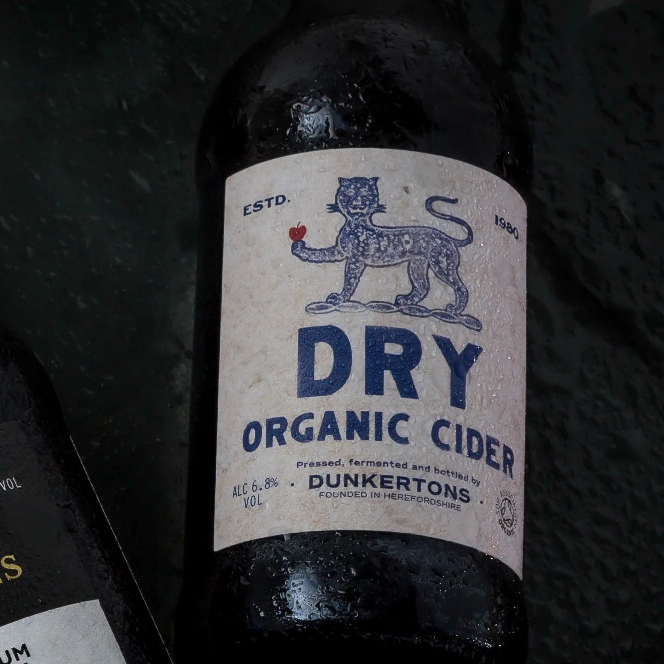 Dry Organic Cider - 500ml Bottle - Image 2